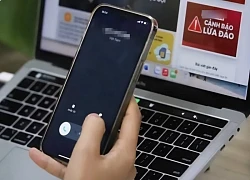 Phá ổ đánh bạc ăn thua hàng trăm triệu trong rừng keo