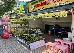 Hai người trùm áo mưa vào cửa hàng ở TPHCM trộm 10 trái sầu riêng