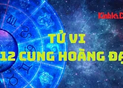 Tử vi ngày 22/8/2025 của 12 cung hoàng đạo: Nhân Mã vượng phát trên mọi phương diện