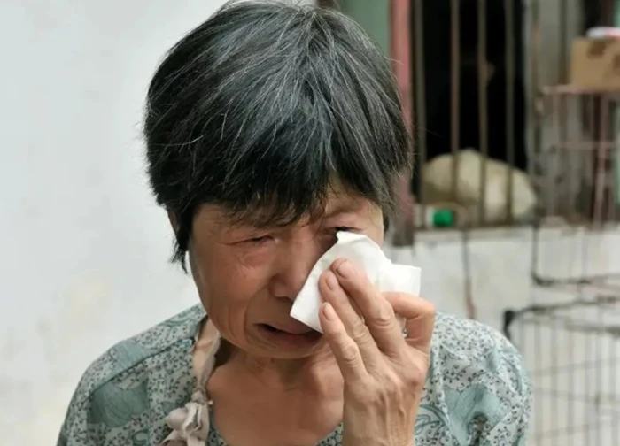 Lên thành phố chăm cháu 2 năm, ngày trở về mẹ vợ không nhận được phong bì mà là chiếc hộp: Tức phát khóc khi mở ra