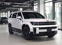 Santa Fe bứt phá trong tháng 7, bán vượt Fortuner nhưng vẫn thua Everest