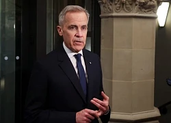Thuế quan của Mỹ: Canada dỡ bỏ phần lớn thuế quan trả đũa