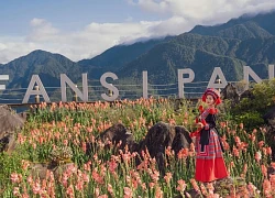 Từ Hà Nội đi đâu dịp lễ 2/9: Gợi ý 3 hành trình lên rừng xuống biển