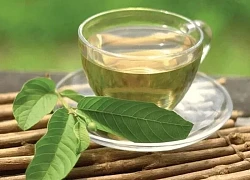 Uống nước lá ổi theo cách này cực tốt cho sức khỏe, không phải ai cũng biết