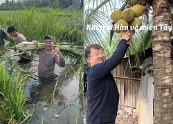 Vì sao chàng rể Hàn, Nhật về miền Tây lại "lụy" đến thế?
