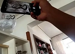 Vừa mở cửa vào nhà, cặp vợ chồng hoảng hốt khi thấy cảnh tượng đáng sợ trong phòng khách