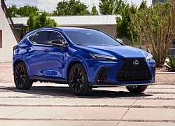 5 mẫu xe hybrid sạc điện PHEV đáng tin cậy, người dùng có thể mua trong năm 2025