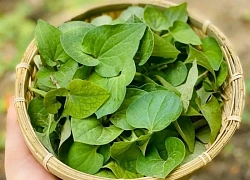 Bất ngờ loại rau được mệnh danh là 'vua thải độc gan', bán đầy ở chợ Việt, giá rẻ như cho