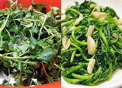 Bất ngờ với món rau được CDC Mỹ công bố tốt nhất thế giới, hỗ trợ thải độc gan có ở chợ Việt, nhiều người bỏ qua