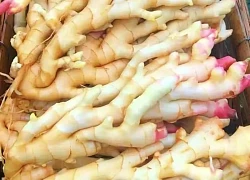 Gừng rất tốt nhưng nhiều người đang ăn sai cách