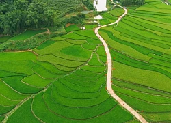 Con đường cờ đỏ sao vàng giữa ruộng bậc thang hút khách ở Sơn La
