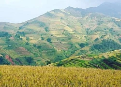 Lịch nghỉ lễ Quốc khánh 2/9: Gợi ý điểm đến vui vẻ