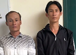 Lời khai của 2 nghi phạm trộm 20 điện thoại ở cửa hàng Điện Máy Xanh