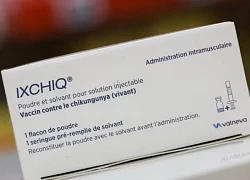 Mỹ đình chỉ lưu hành vaccine Ixchiq phòng virus chikungunya