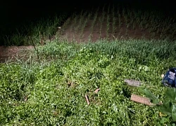 Người đàn ông Hưng Yên tử vong vì dùng điện bẫy chuột