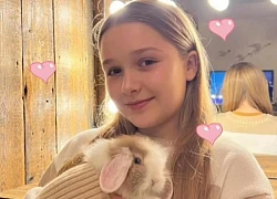 Nhan sắc thật của tiểu thư Harper nhà Beckham bại lộ qua ống kính paparazzi