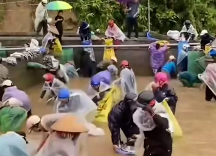 Nữ chủ trại nói sự thật về thông tin cả chục người nhảy xuống bể 'hôi của' cá tầm