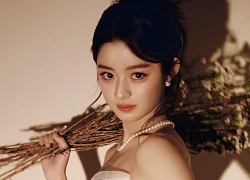 Tiểu Triệu Lệ Dĩnh vừa trở lại đã bị tẩy chay