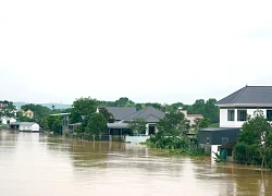 Tràn đê sông Bưởi ở Thanh Hóa, dân leo mái nhà sinh hoạt