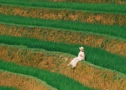 3h sáng vẫn lang thang tìm phòng ở Tà Xùa dịp 2/9
