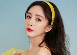 Chuyện gì khiến Dương Mịch tuyên bố vội: "Tôi sẽ nộp thuế đúng quy định"?