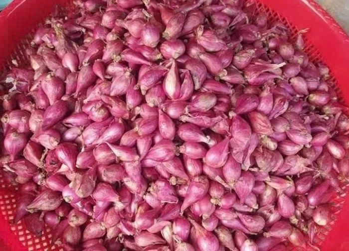Củ hành tím và những lợi ích bất ngờ cho sức khỏe