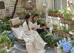 Góc sân nhỏ gây sốt: Ngập tràn hoa lá, đẹp như tiên cảnh khiến cư dân mạng thốt lên "không thể là ảnh dàn dựng!"