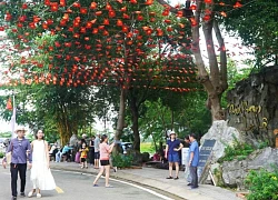 Hà Tiên đón trên 45.000 lượt du khách dịp Lễ 2/9