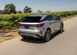 Lexus gửi gắm 'thông điệp xanh' tới khách hàng Việt qua bộ đôi RX Hybrid mới