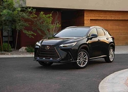 Lexus NX 2026 không còn bản giá "rẻ", thêm lựa chọn tiết kiệm xăng