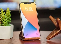 Mẫu iPhone mang họ Pro đáng giá cho ngân sách dưới 9 triệu đồng