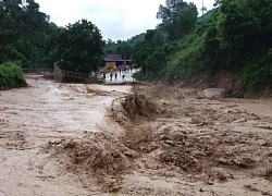 Nhật Bản đối mặt nguy cơ mưa lớn và bão nhiệt đới - Ngập lụt diện rộng ở Ấn Độ, hàng nghìn cư dân phải sơ tán