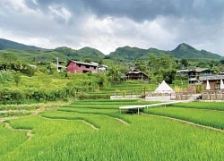 Quốc khánh ở bản du lịch cộng đồng