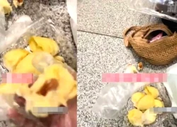 2 hành khách phải ăn sạch 3,5kg sầu riêng trong 10 phút trước chuyến bay: Chỉ có thể thốt lên 1 câu sau "khoảnh khắc sụp đổ"