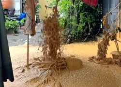 Bùn lại phun trào cao hơn 1m ở khu vực thi công metro Nhổn - ga Hà Nội