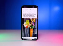 Chatbot không cứu được Apple trong kỷ nguyên AI
