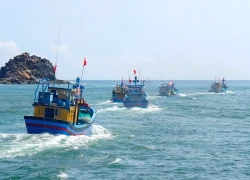 Khẩn trương tìm kiếm tàu cá cùng 8 ngư dân mất liên lạc trên biển