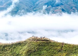 Lạc bước săn mây ở Tà Xùa