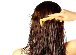 Những mẹo nhỏ giúp giảm rụng tóc vào mùa thu
