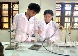 Nghiên cứu kháng ung thư từ dầu hồi