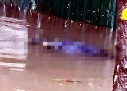 Phát hiện thi thể người đàn ông trong làn nước ngập ở Hà Nội