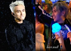 Quang Hùng MasterD hóa "Sky chúa", diễn xong không chịu về quyết dầm mưa đu idol Sơn Tùng M-TP!