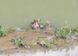 Tìm thấy thi thể 2 người mất tích ở Đà Nẵng