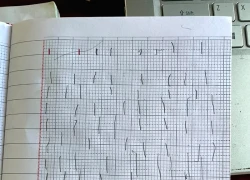 Vào năm học chưa đầy 1 tháng, "khối lớp 1" đã khiến phụ huynh tăng xông, giáo viên khóc ròng: Vạn vật thua các em hết!