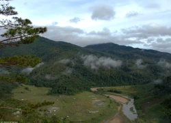 Những điểm 'săn' mây sáng sớm ở Măng Đen