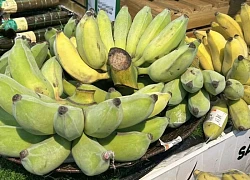Ăn một loại quả lúc 11h giúp giảm mỡ máu, tốt cho tim mạch