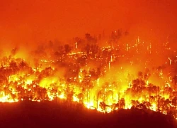 Chính phủ Mỹ kiện công ty điện lực vì vụ cháy rừng nghiêm trọng ở California