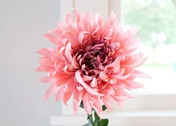 Đúng ngày mai, thứ Bảy 6/9/2025, 3 con giáp được Quý Nhân soi đường chỉ lối, trúng số cực to, tiền bạc chật két, dang tay đón vàng, tương lai huy hoàng