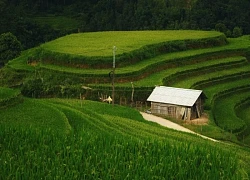 Sa Pa lọt top điểm đến miền núi hàng đầu châu Á