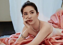 Không ai dám cưới Lưu Diệc Phi